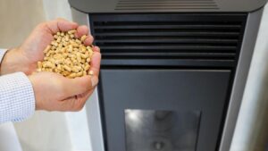 granules de bois